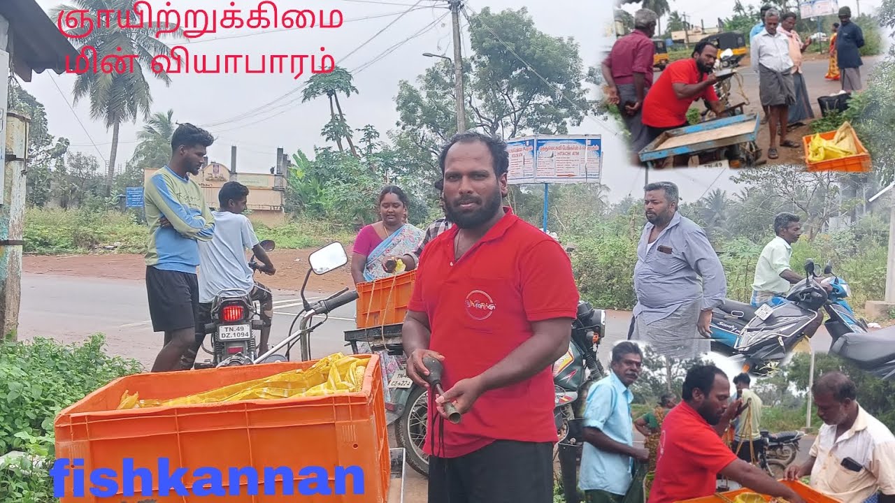 ஞாயிற்றுக்கிழமை இன்றைய மீன் வியாபாரம் 🐟🐟😔#subscribe #fishing |fishkannan