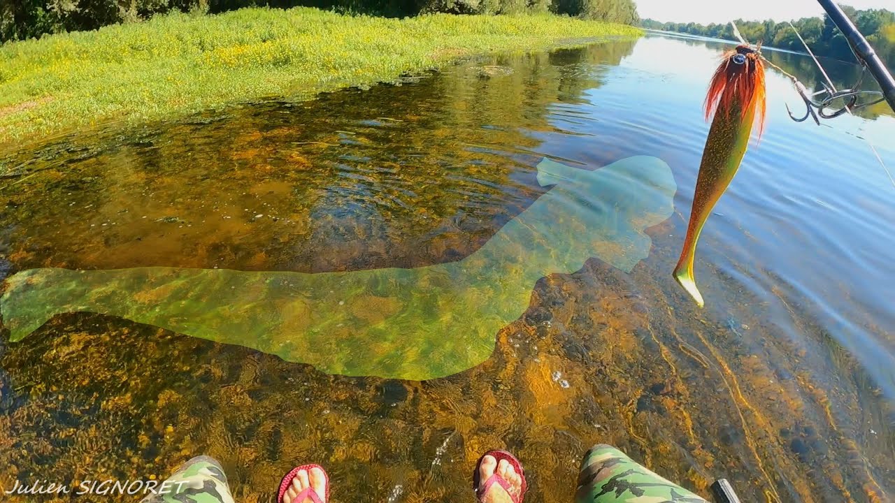 Cette RIVIERE PARADISIAQUE abrite des POISSONS MONSTRUEUX...