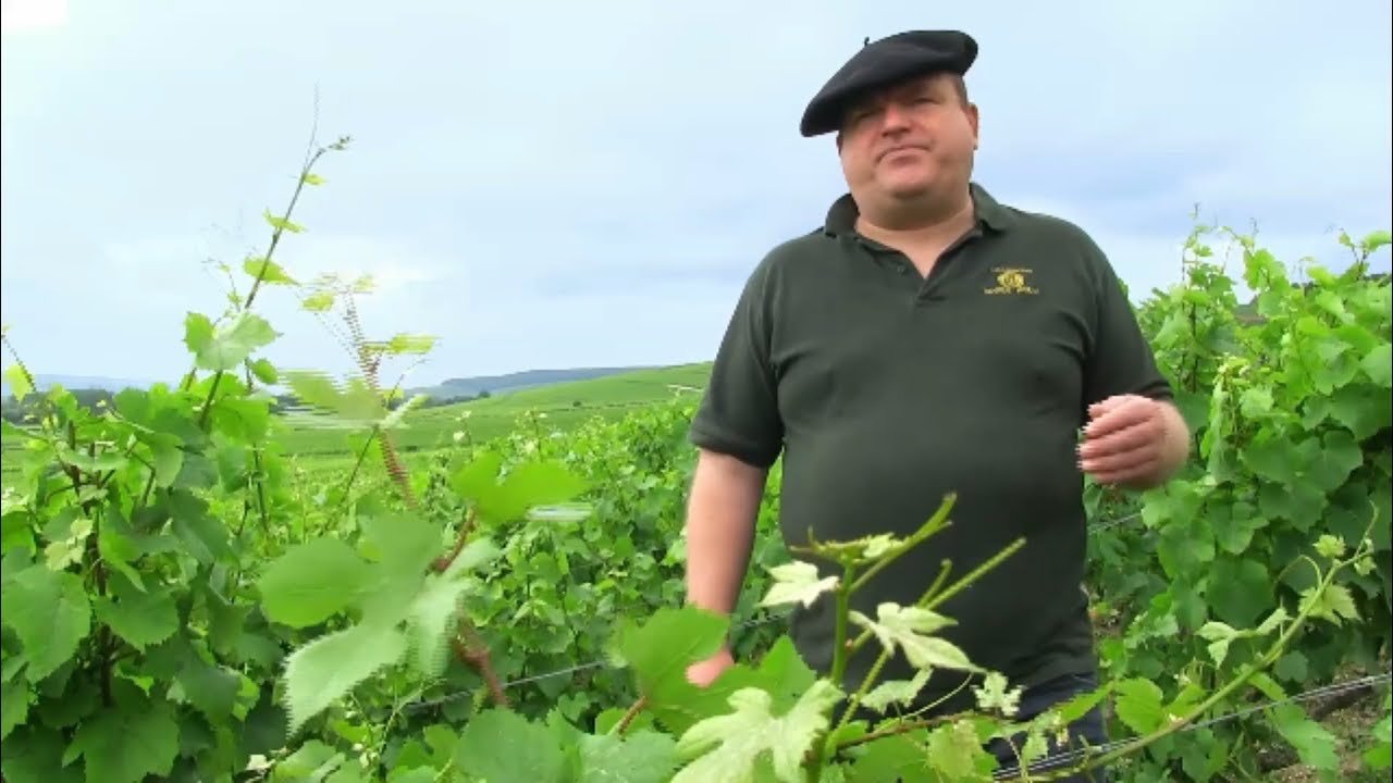 Philippe Brun - Champagne Roger Brun