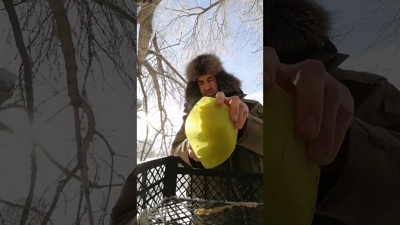 +780р. -36&deg; 15 января 2026г. Дмитрий Александпович П. СПАСИБО, на Сбербанк 2202203654418625 Елена К.