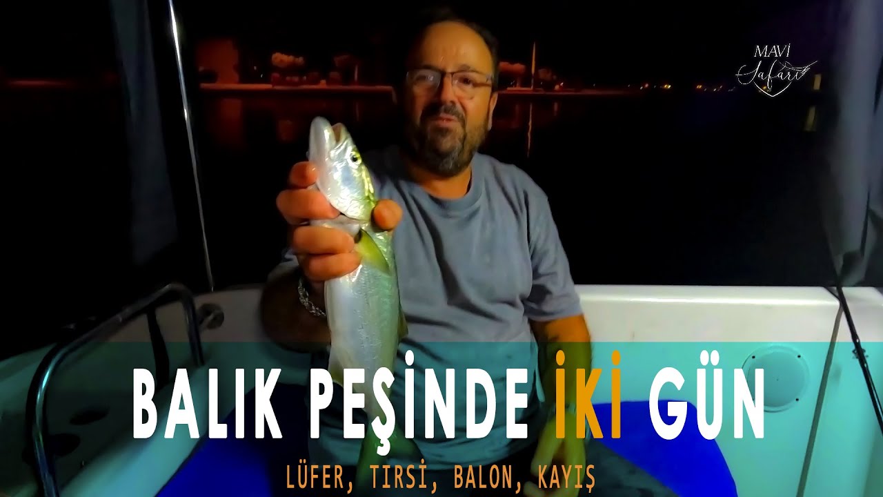 Balık Peşinde 2 Gün | Lüfer, Tral ve Balon Balığı Avı