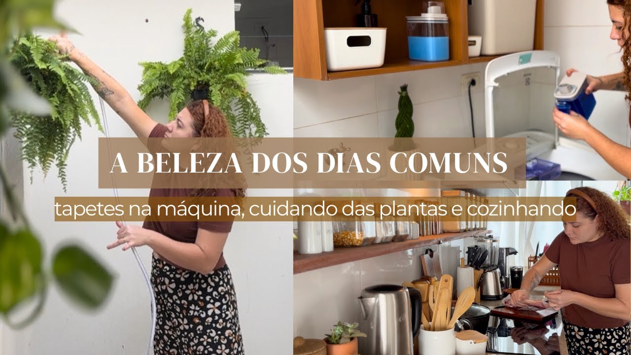🌿🧺BELEZA DOS DIAS COMUNS,tapetes na máquina, cuidando das plantas e cozinhando✨(jeitinho que eu amo)