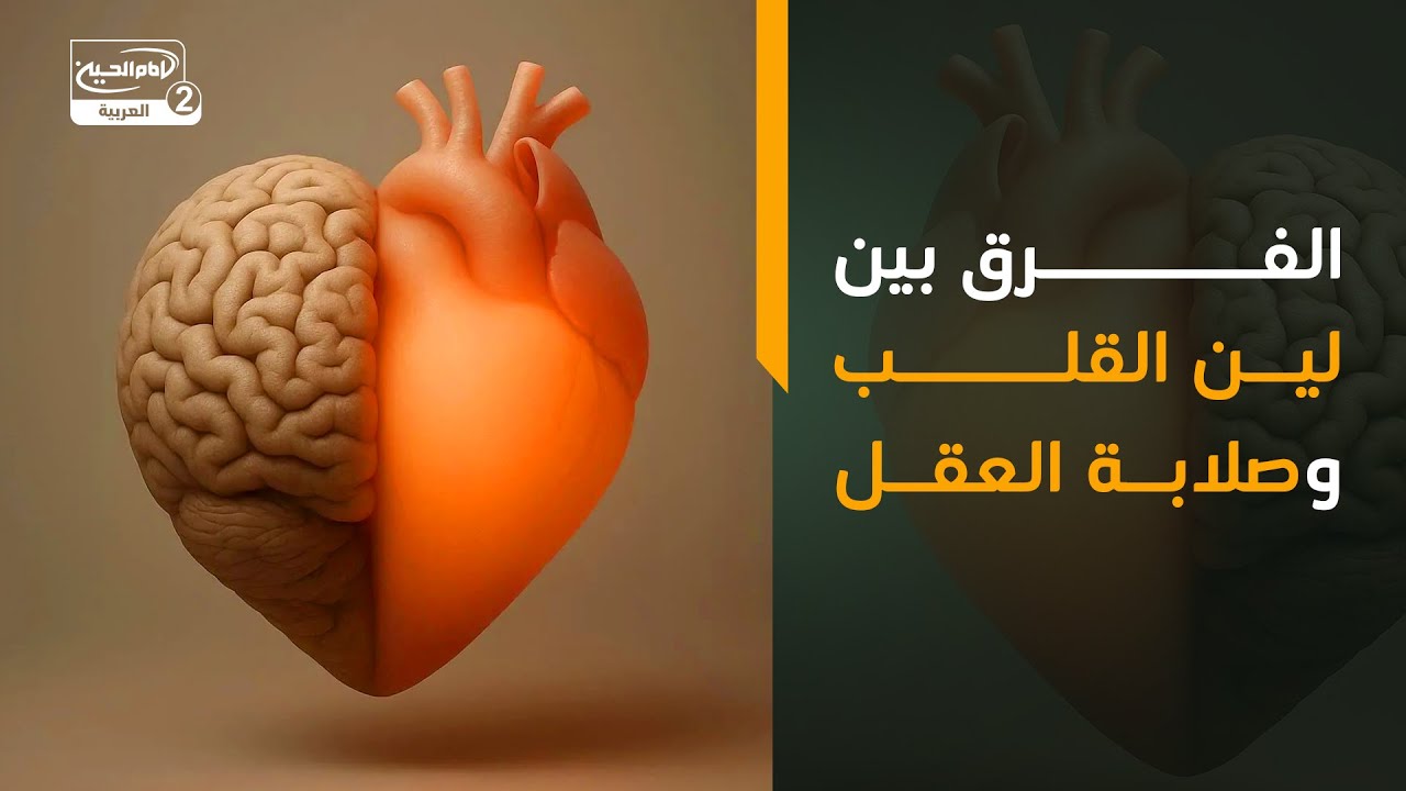 الفرق بين لين القلب وصلابة العقل