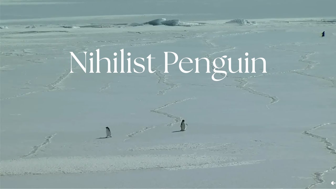 Why Did This Penguin Walk Away From Everything?