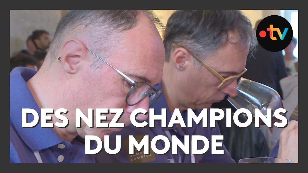 La France remporte le Mondial de dégustation de vin à l’aveugle