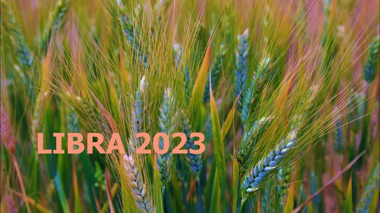 LIBRA 2023