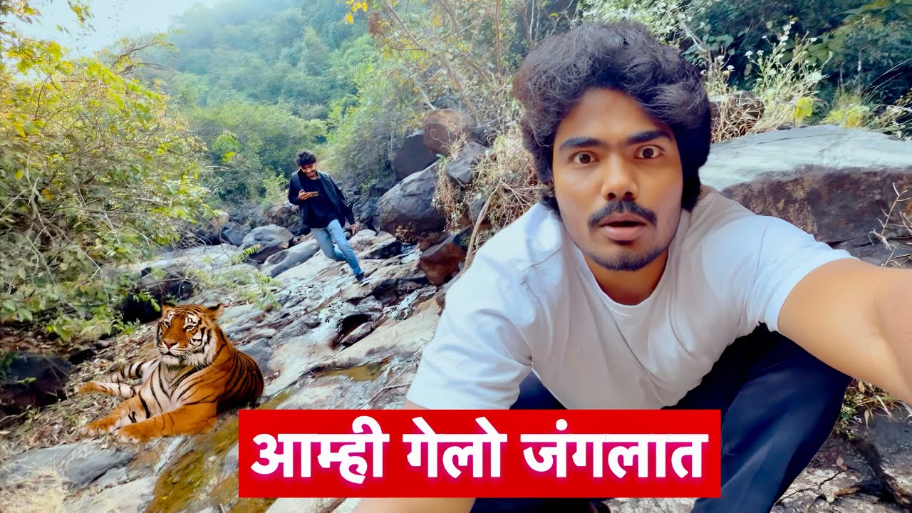 आज आम्ही जंगलात गेलो तर वाघाचा आवाज आला 😱 #vlogs 