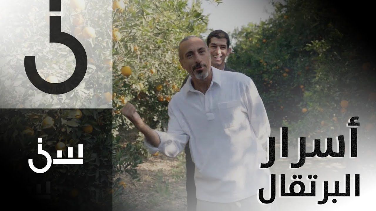 الشقيري في رحلة إلى مزرعة برتقال في مصر ويكشف تفوقها عالمياً على جميع الدول