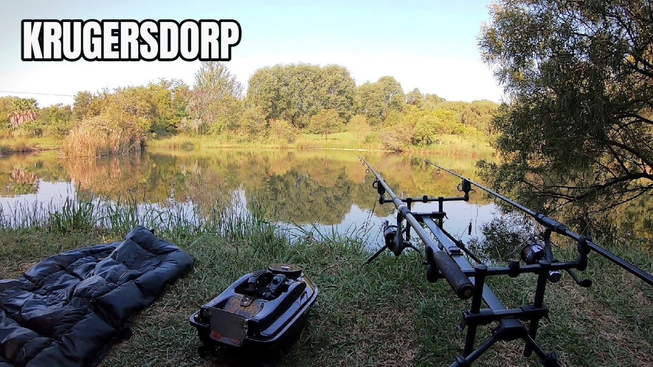 Fishing a Secret Little Lake in Krugersdorp - Karp Hengel