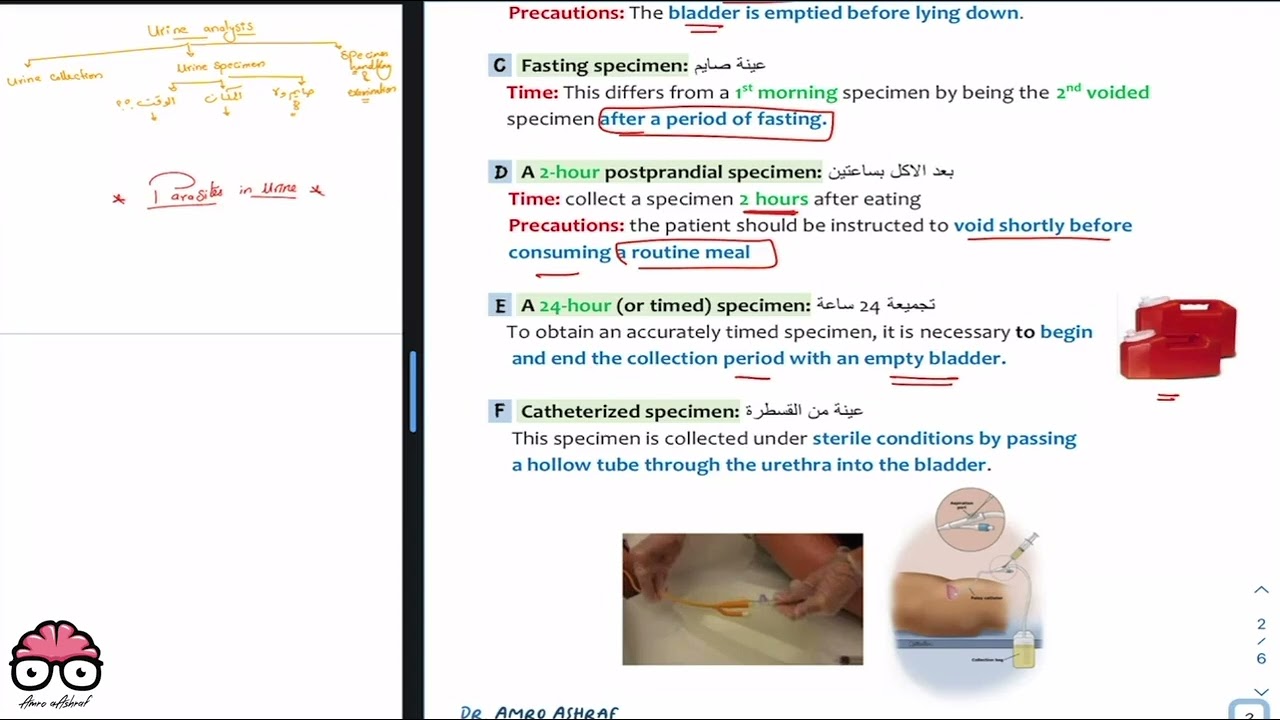 Parasitology - Urine Analysis (Sec1) - Bimaristan & Dr Amro Ashraf