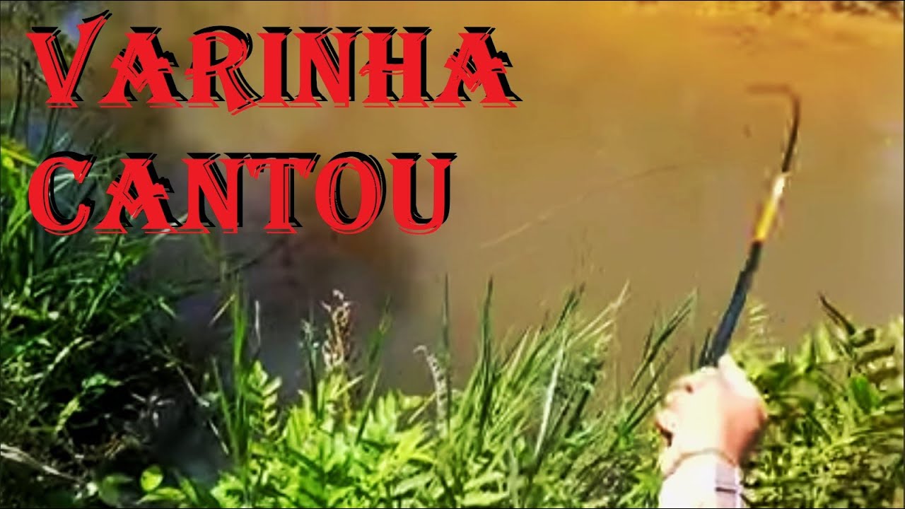 TAVA DIFÍCIL DE TER LINHA PARA SEGURAR OS PIAUS NESSA PESCARIA