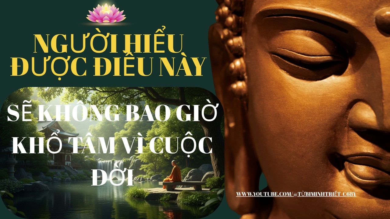 Người Hiểu Được Điều Này Sẽ Không Bao Giờ Khổ Tâm Vì Cuộc Đời|TỪ BI MINH TRIẾT