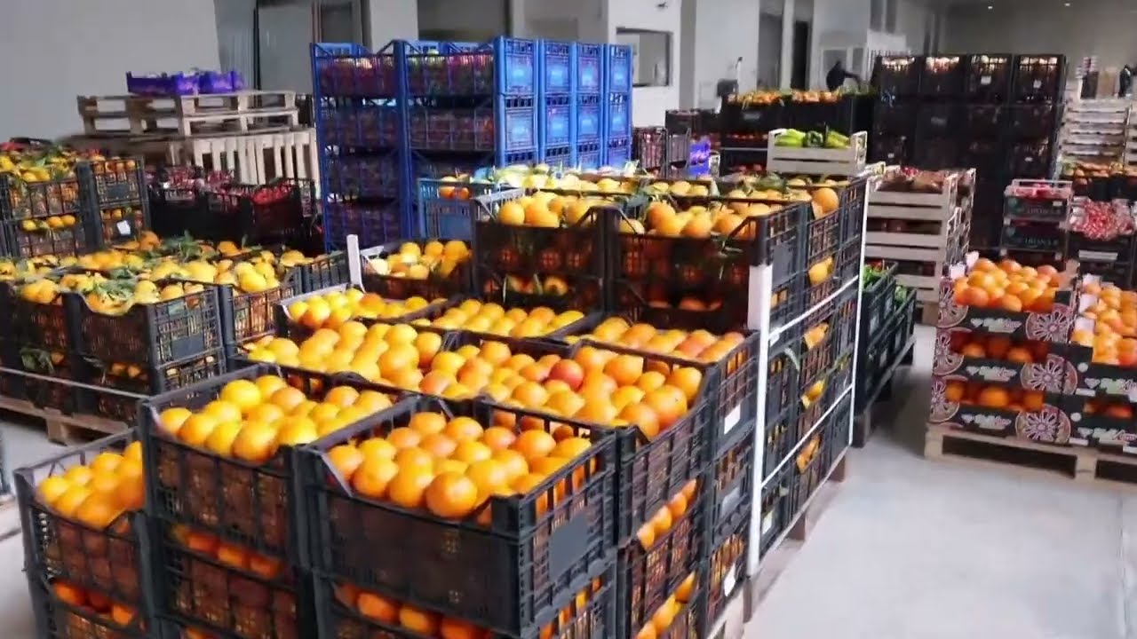 Studio di Confcommercio sulla desertificazione commerciale, Sud più resiliente