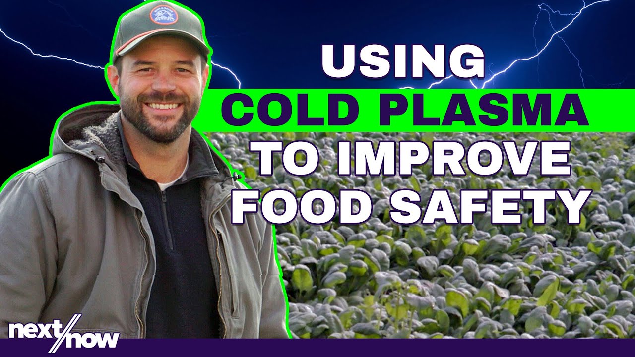 Curbing Post-Harvest Food Waste | Clean Crop