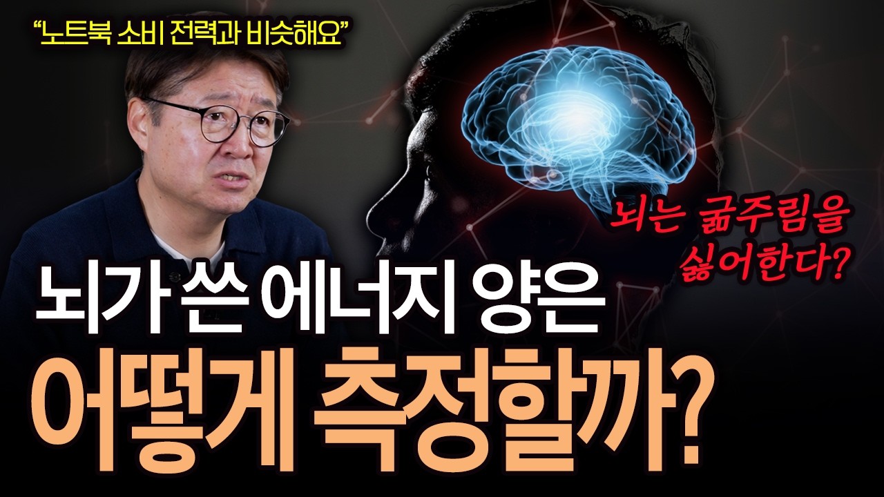 몸무게의 2%인 뇌가 에너지 20%를 쓰는 이유! 뇌는 연비가 비싸다?