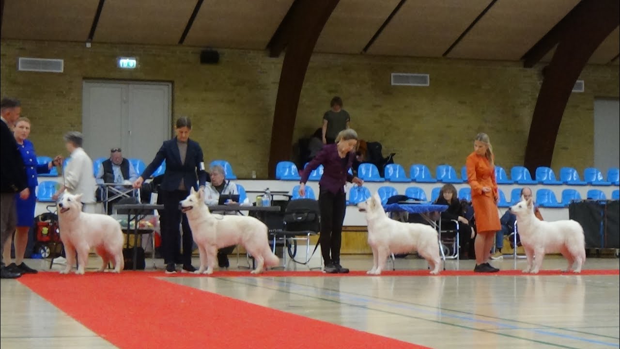 20250315 KHKG Køge HSH udst  1 og 2