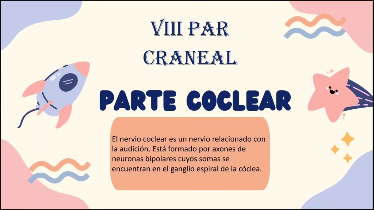 par craneal (VIII) nervio vest&iacute;bulo coclear