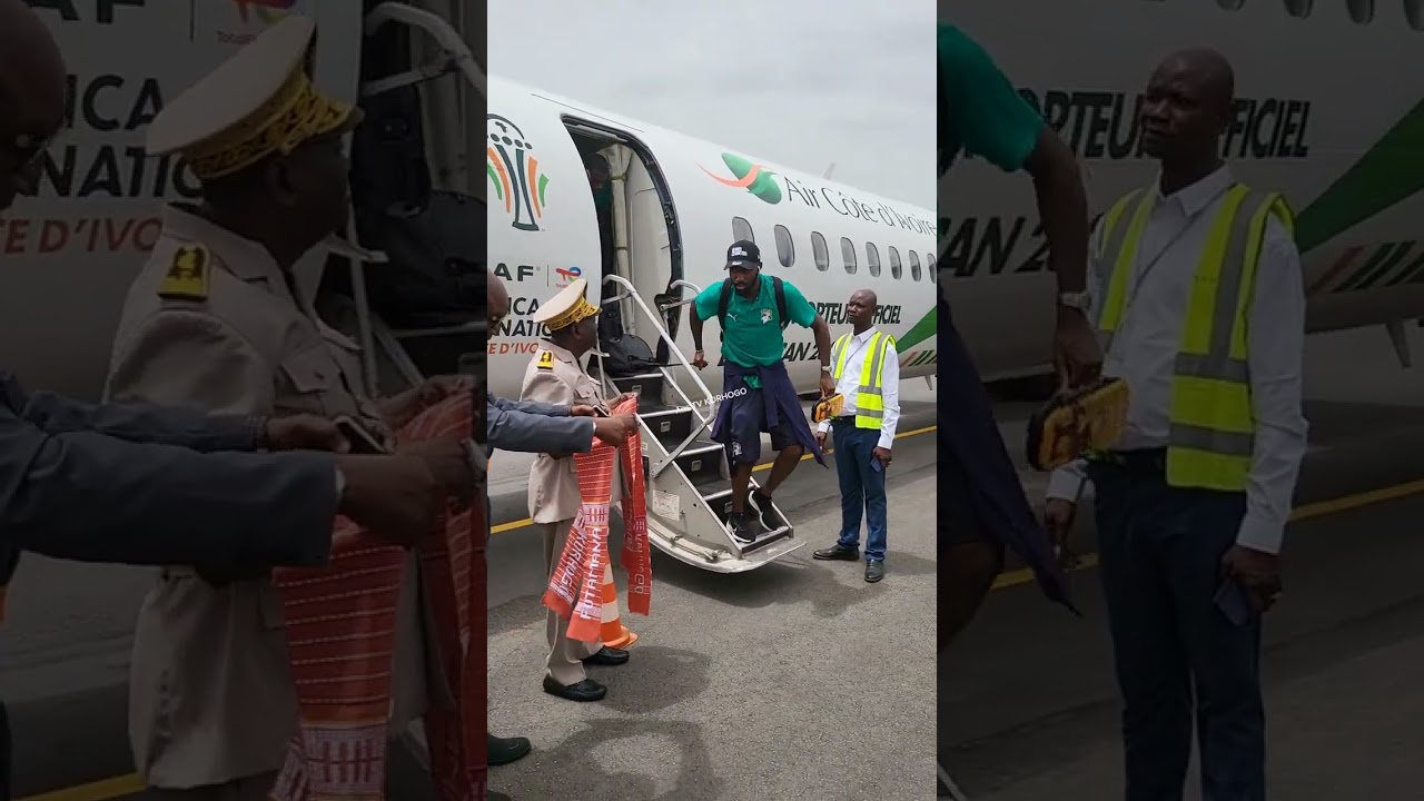 ARRIVÉE DES ÉLÉPHANTS DE CÔTE D'IVOIRE À L'AÉROPORT DE KORHOGO