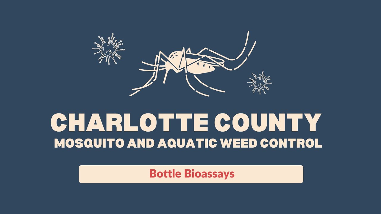 Unveiling Mosquito Control Secrets: Testing Methods and Product Effectiveness Revealed