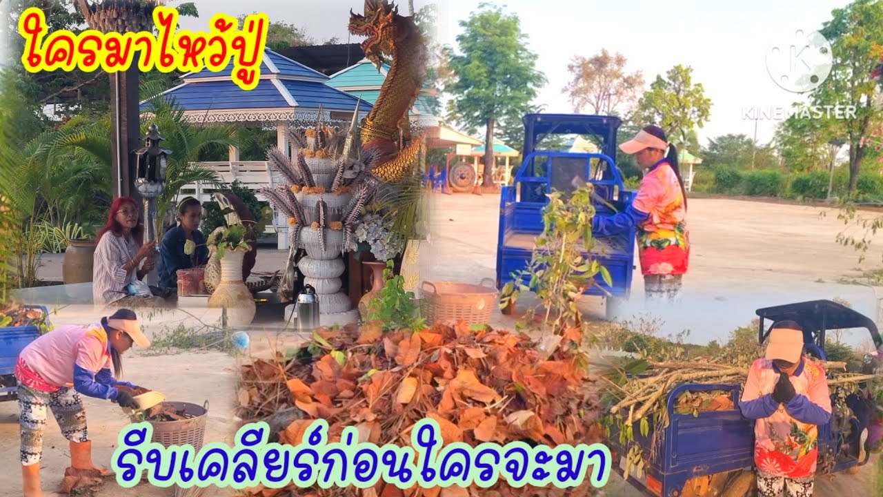 ใครมาไหว้ปู่แต่เช้า?ต้องรีบเคลียร์พื้นที่..ขนไปไว้ไหนดี?