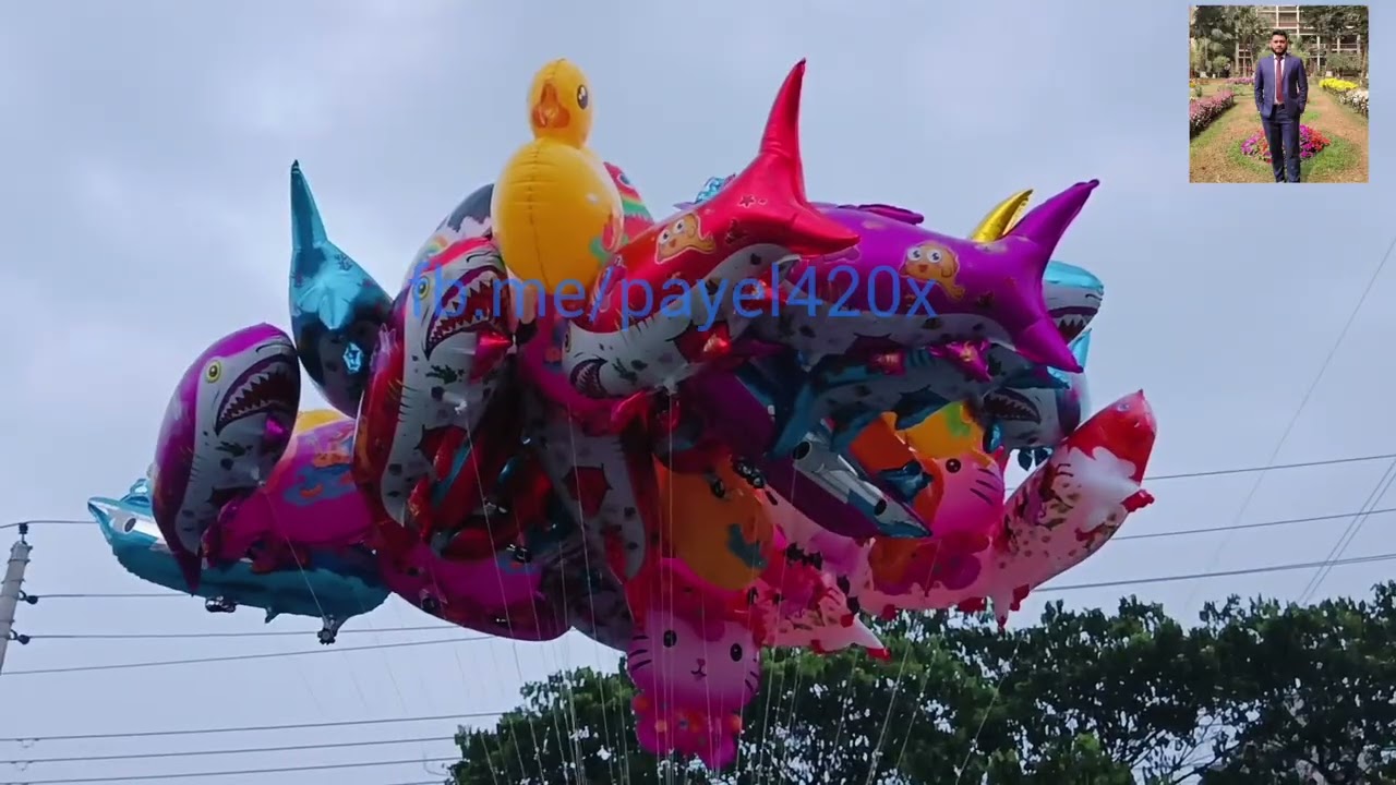 আফতাবনগর, এ যেন কাশফুল এর রাজ্য