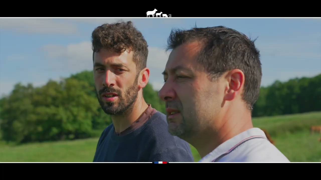 Les Viandes Limousines - Portrait Luc LATHIERE Eleveur de Vaches Limousines En Label Rouge.