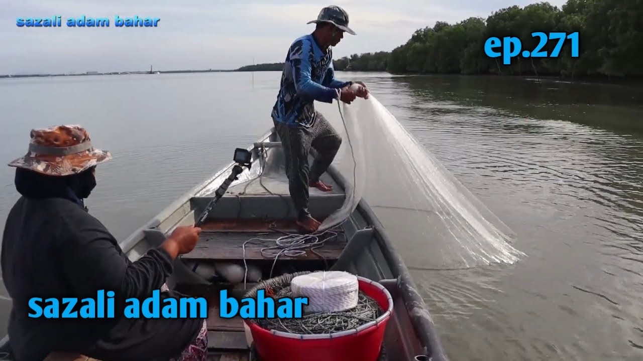 Menjala udang dan merawai ikan sisik ep.271