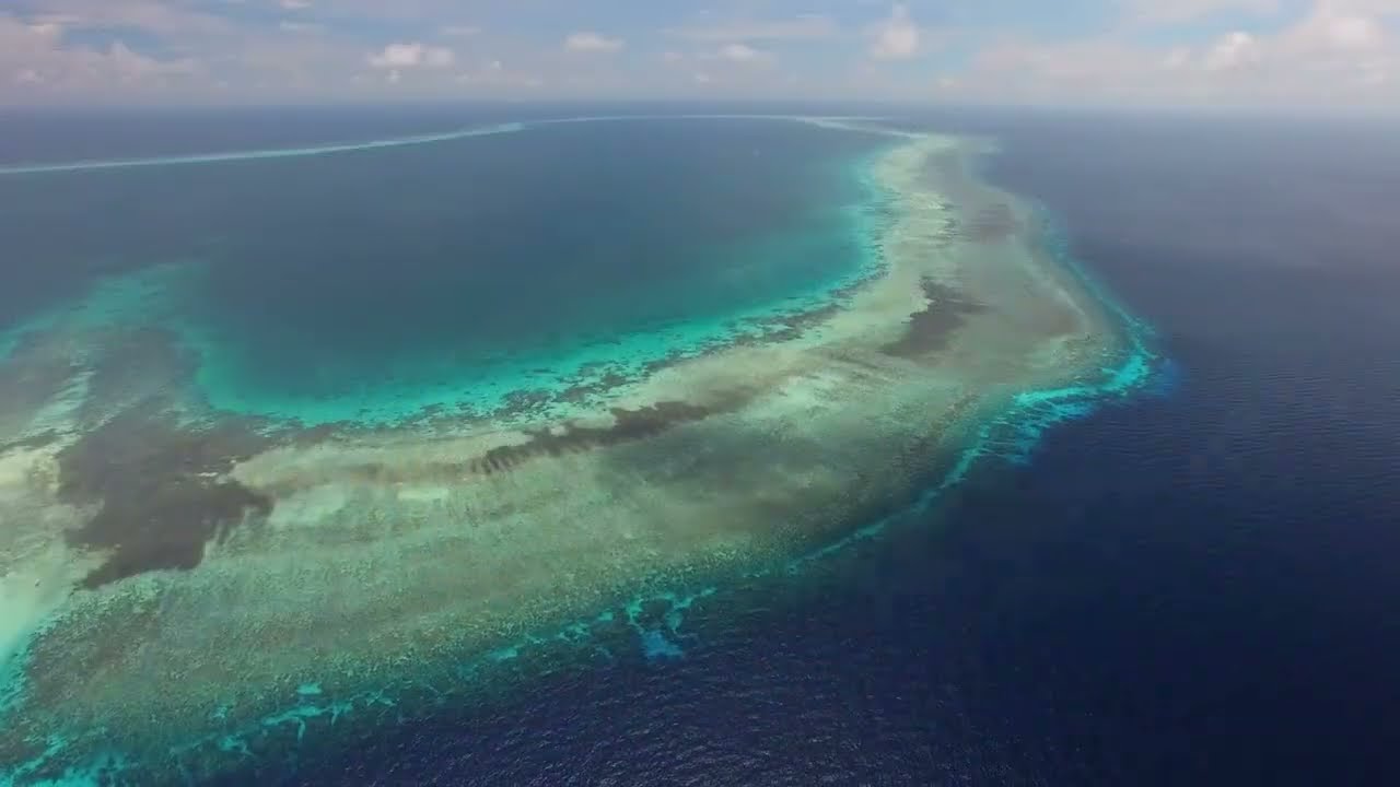 Tubbataha Reefs Natural Marine Park