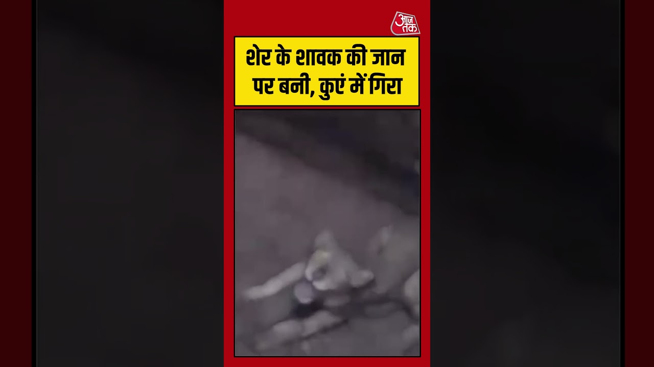 Gujarat News: शेर के शावक की जान पर बनी, कुएं में गिरा #gujaratnews #viralvideo #lion #wildlife