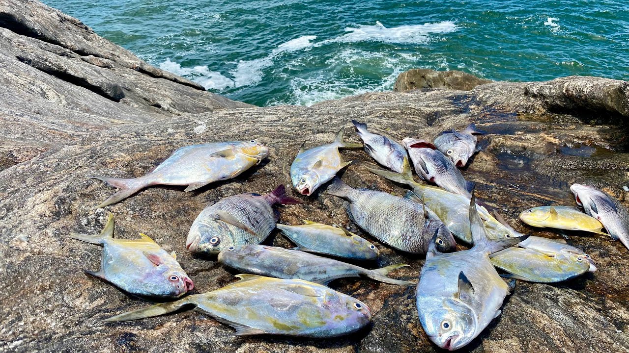 CORAGEM OU LOUCURA? O Pesqueiro Mais Perigoso do ROCKFISHING