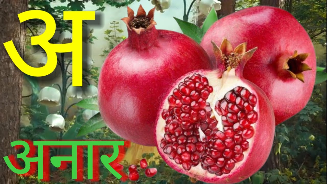 अ, आ, इ, ई। हिंदी वर्णमाला। Kids learning video। Kids learning अ आ इ ई। Kids Hindi। Kids alphabets।