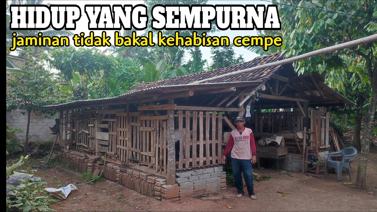 KUSYANTO BERHASIL SUKSES BERMODAL KAMBING  8 EKOR