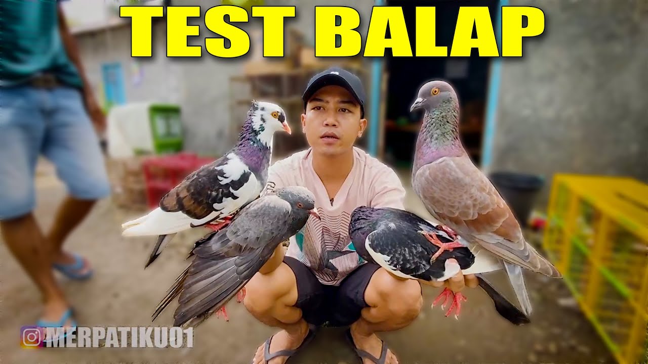 GR3BEK PENJUAL!! SEBELUM BELI BISA DITEST DULU BOSKU