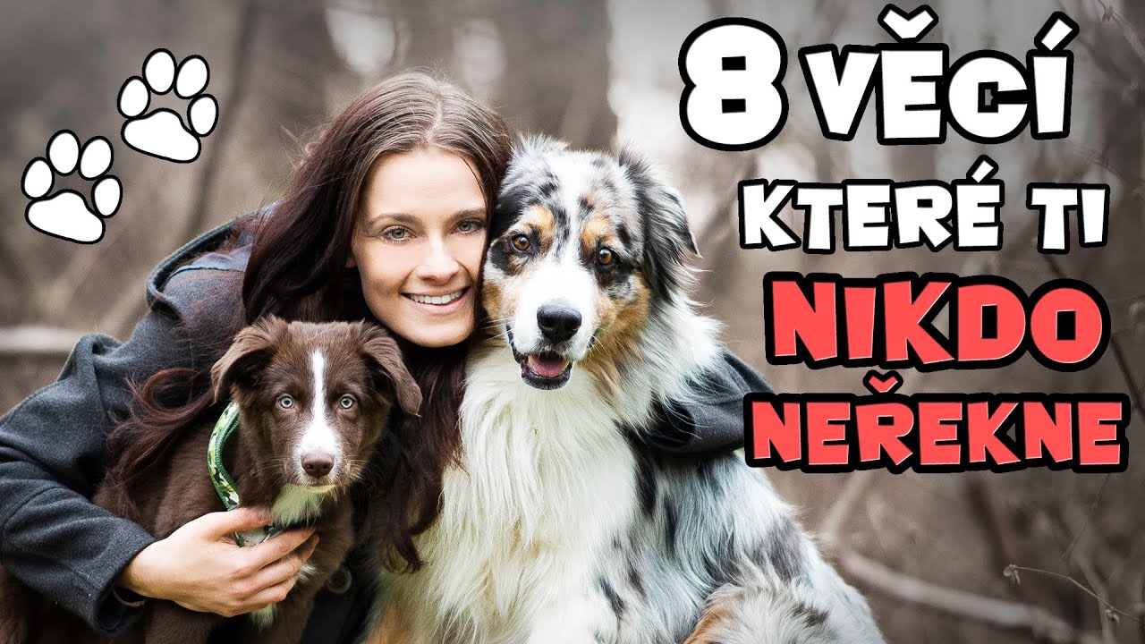 8 ZKUŠENOSTÍ, které bych si PŘÁLA VĚDĚT PŘED POŘÍZENÍM PSA | Výcvik psa