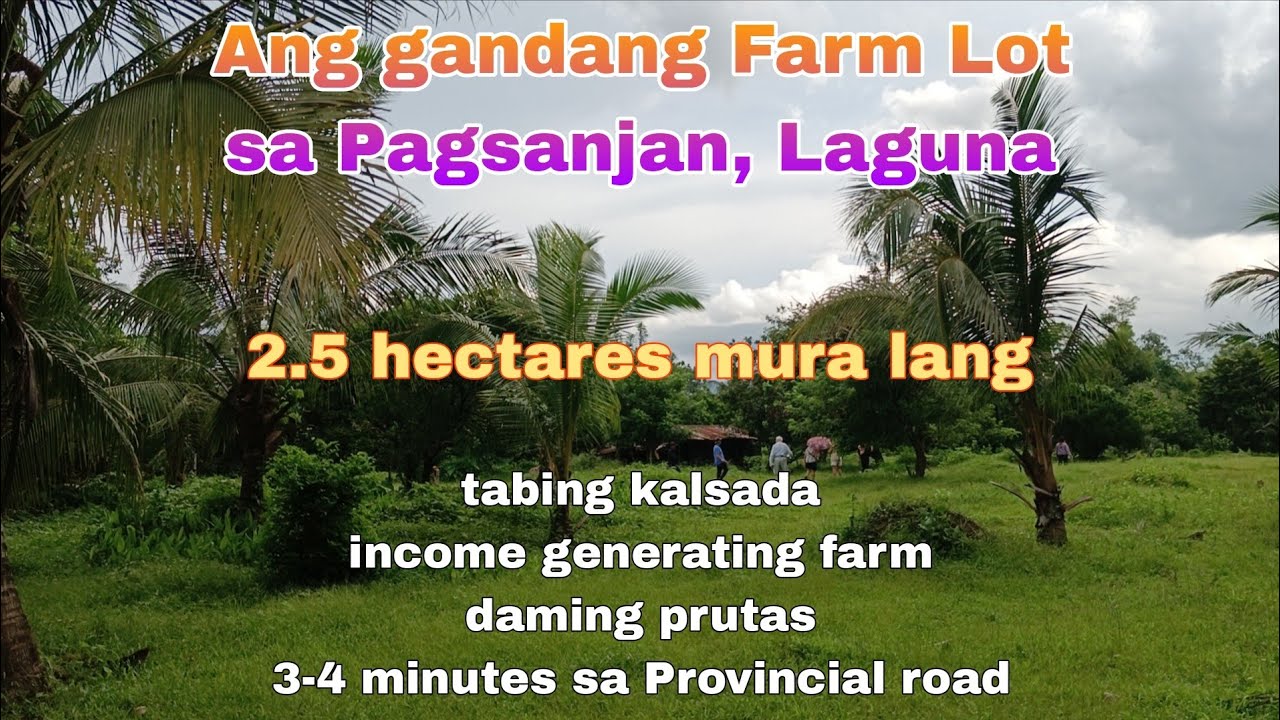 (P# 817) Ang gandang Farm 2.5 hectares sa Pagsanjan @ 600/sqm, Laguna  for sale