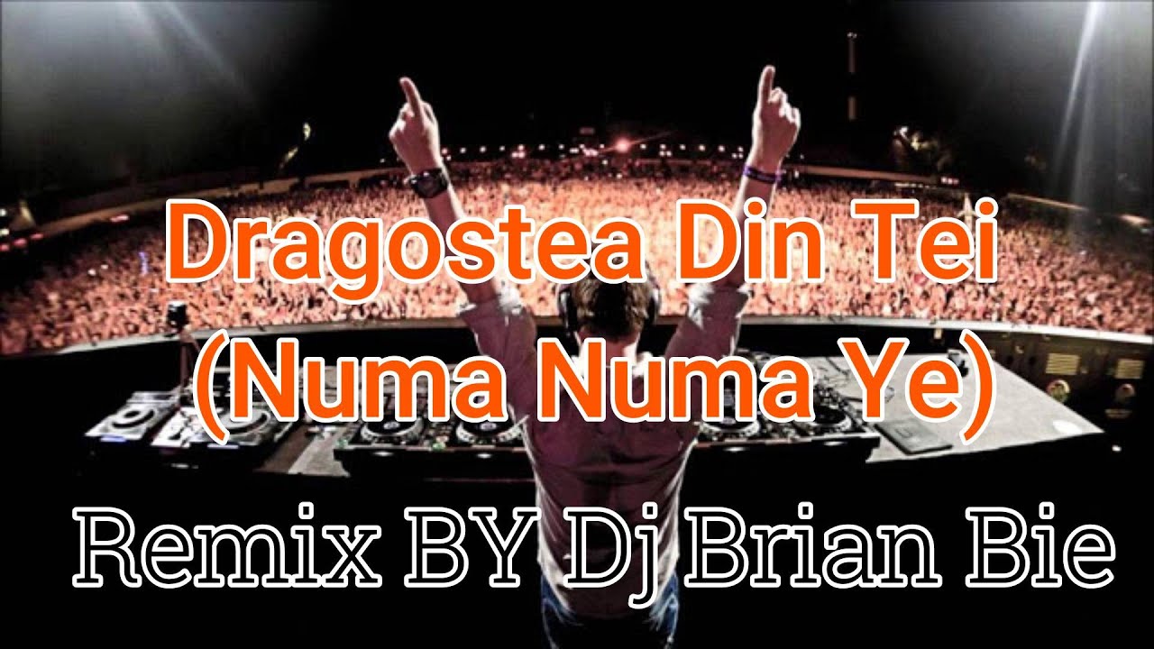 Dragostea Din Tei - Numa Numa Ye (Electro Manyao) By Dj Brian Bie #manyaoremix #manyao #dj #djremix