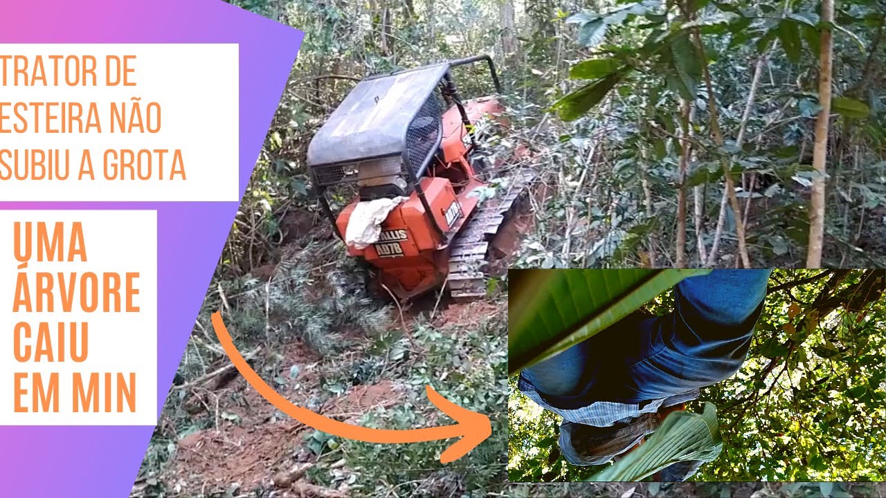 Trator de esteira Fiatallis ad7b abrindo passagem pelo córrego