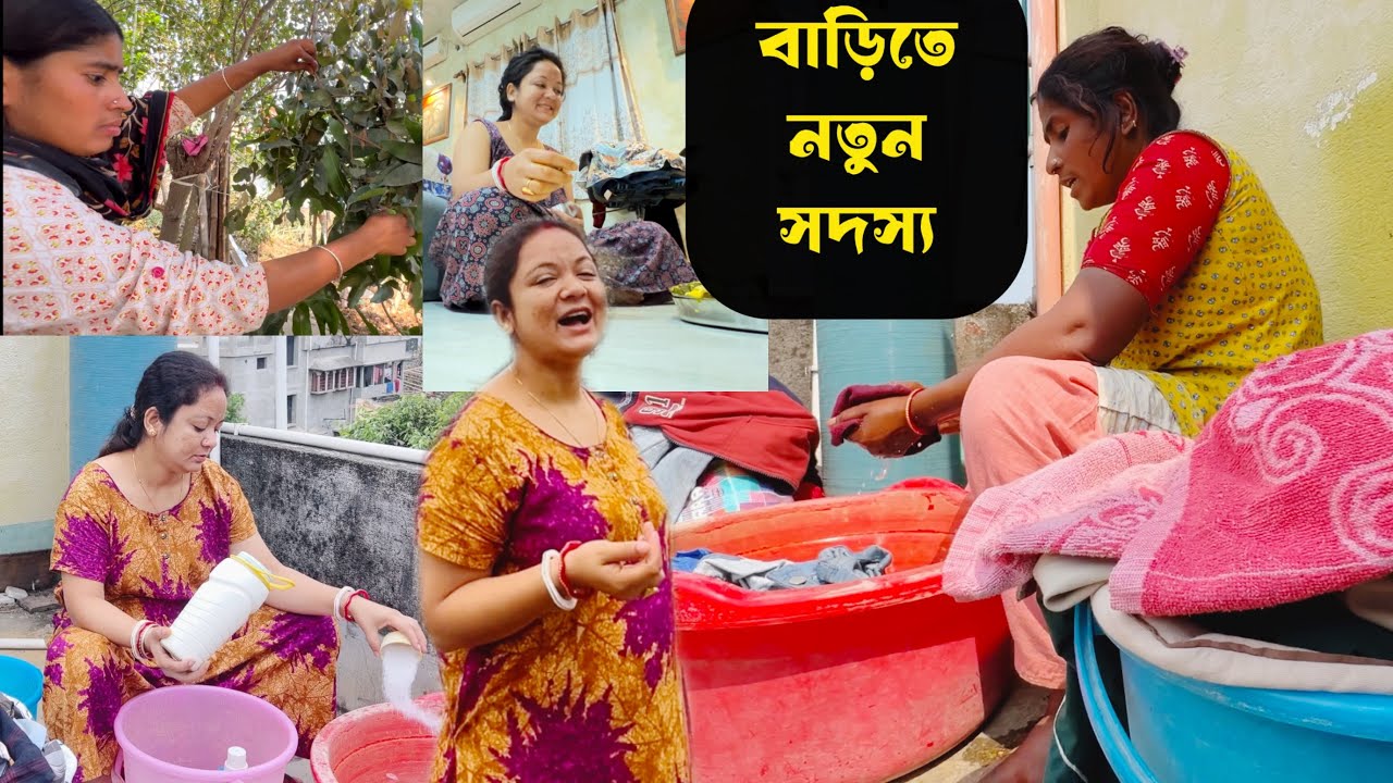 বাড়িতে নতুন সদস্য /এই বাড়ি ফিরে আমার প্রথম ভ্লগ #bengalivlog 