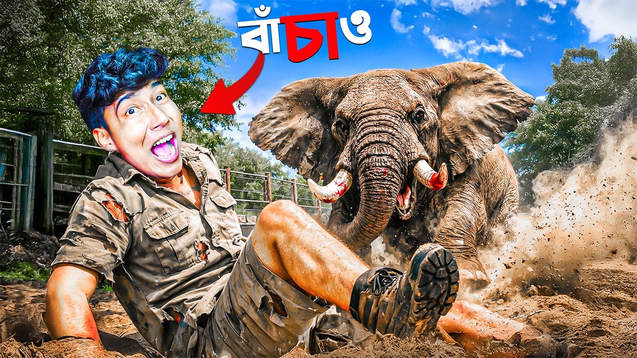 This Zookeeper Game is Crazy
