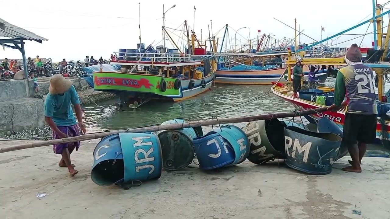km tunas jaya bongkar hasil ikan tuna sebelas ton di dapat nelayan kursiman