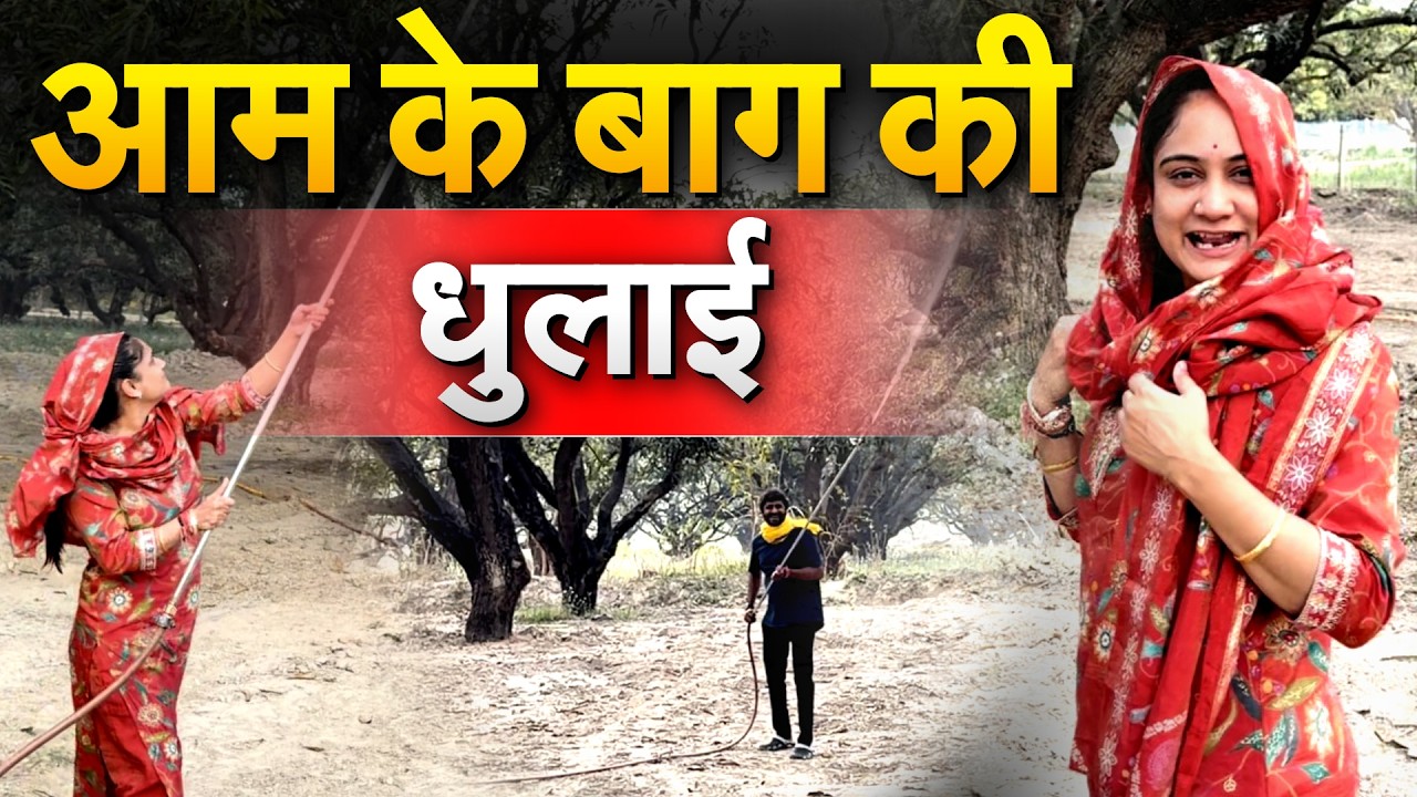 आम के बाग की धुलाई.. Pragya Mishra Vlogs