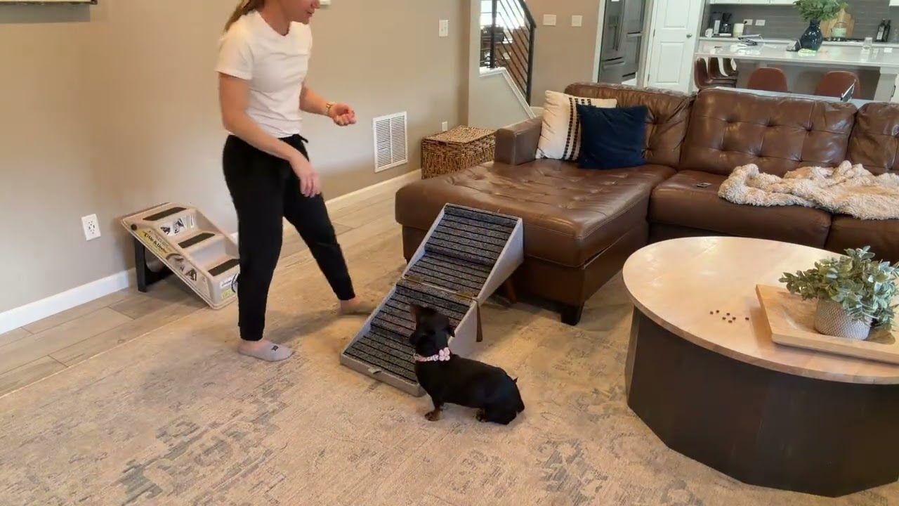 Ziluce Pet Stairs - Helping My Pup Get Up On The Sofa!