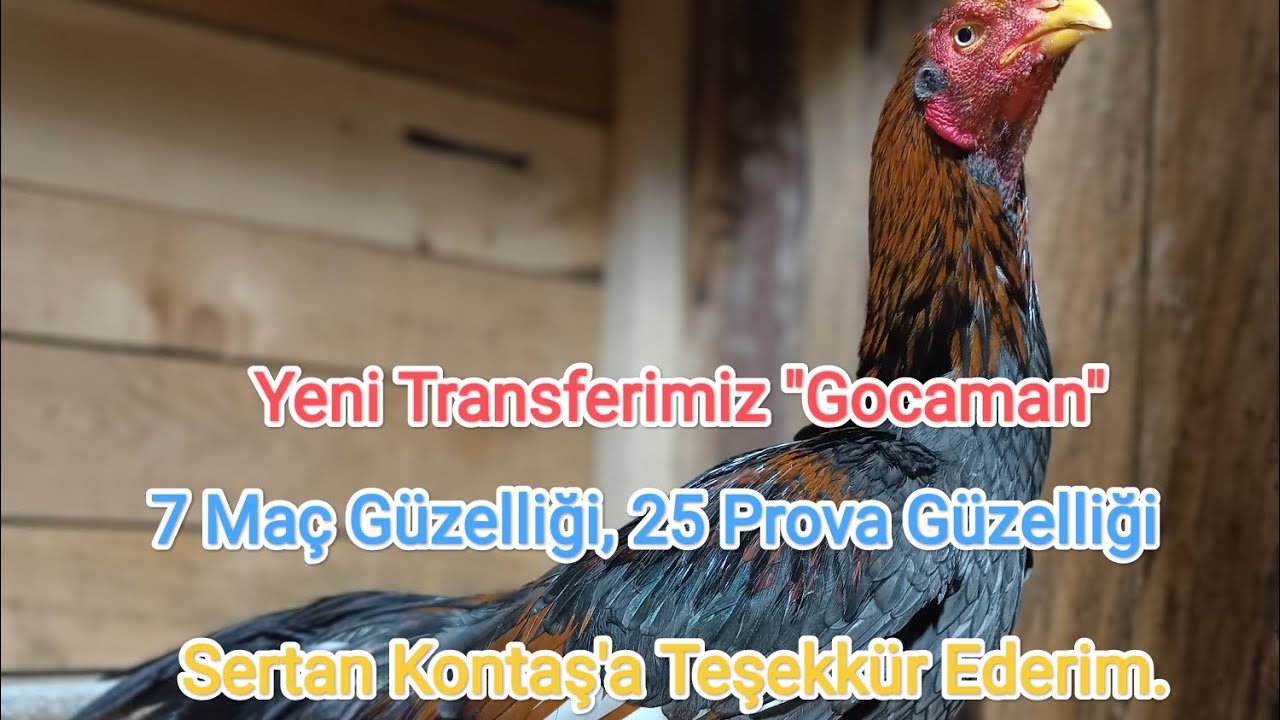 Yeni Transferimiz 