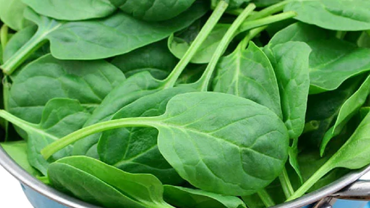 How to preserve SPINACH FOREVER in 1 minute!