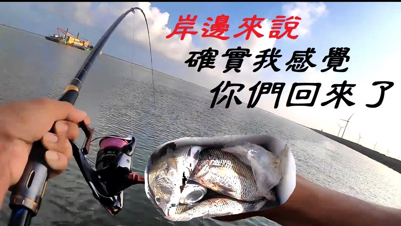 岸邊螺釣黑鯛大躍進~黑牛你一隻我一隻 ! 都回來了 Fishing 台灣