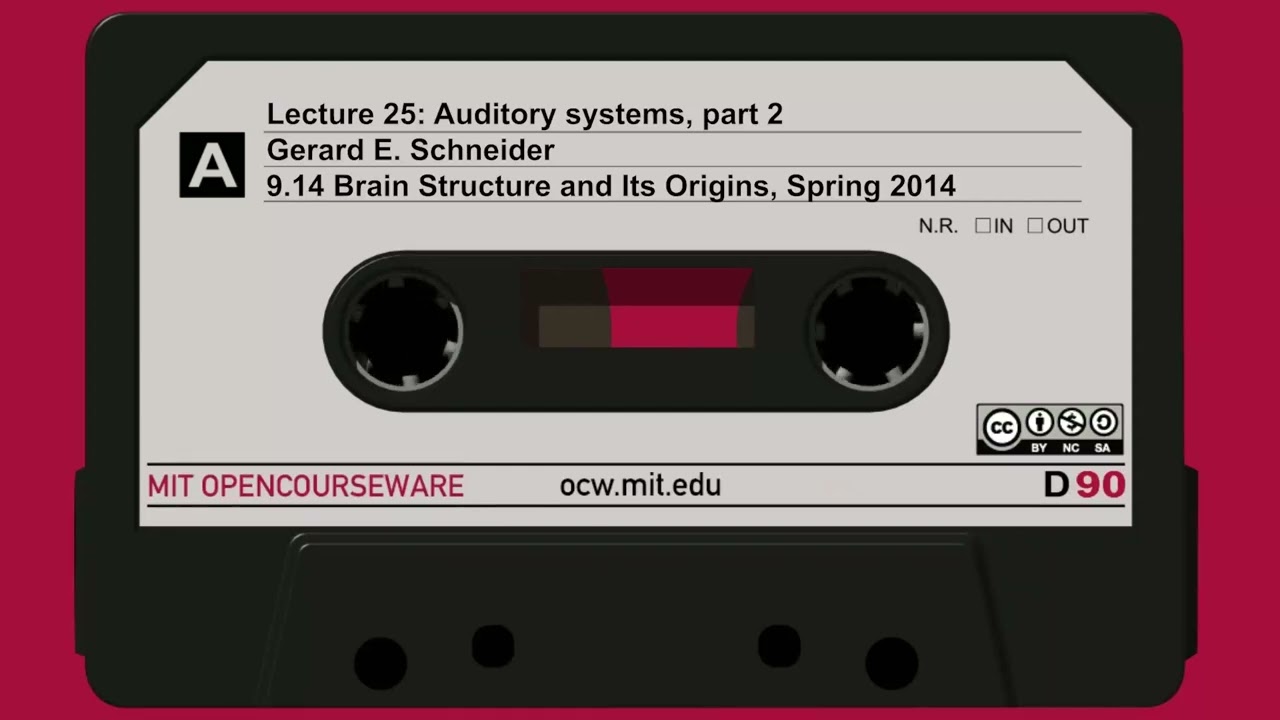 25. Auditory systems, part 2