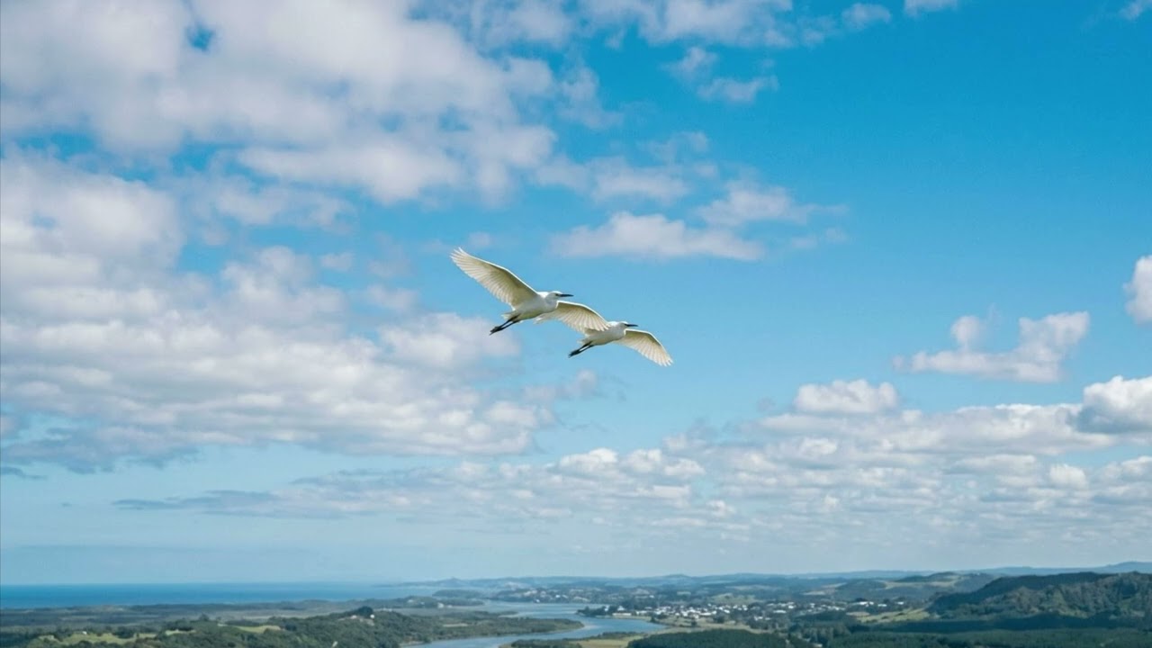 Flügel im Wind