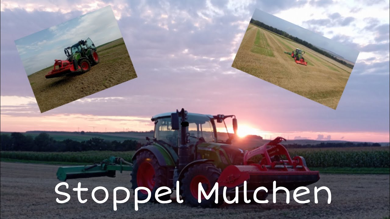 Stoppel Mulchen‼️|Mit Fendt 313Vario,Tehnos und GEO Mulcher😍🔥💯