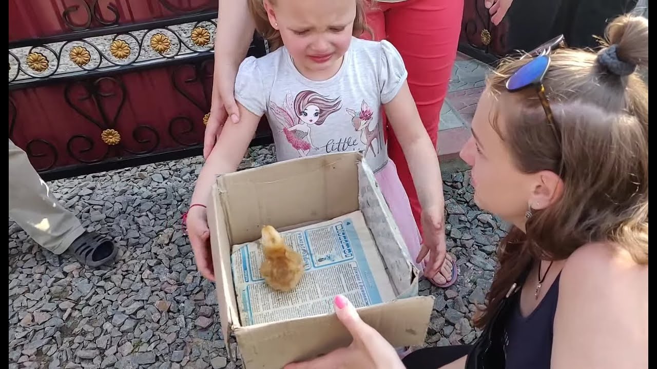 Приехали к Ларисе .Ева плачет