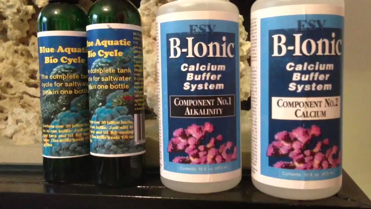 Mr Aqua 25 Gallon Rimless Cube: ReefRaf's Saltwater Day 6 (B-Ionic)